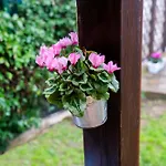 Lillac B&B