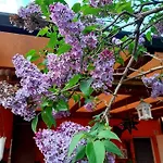 Lillac B&B 3*